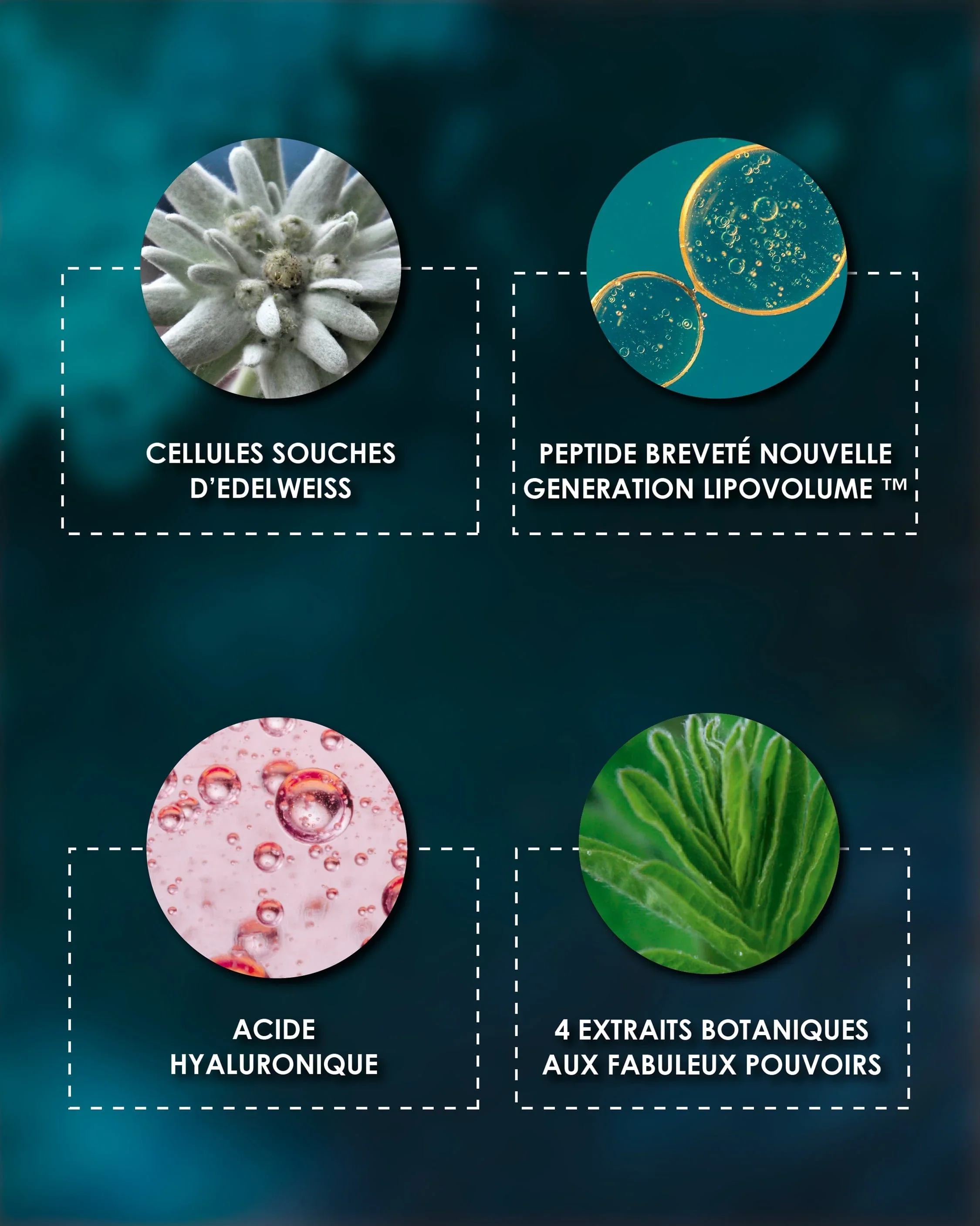 À La Belle Étoile - 50Ml - Prépare La Peau La Nuit - Anti-Âge - Image 6