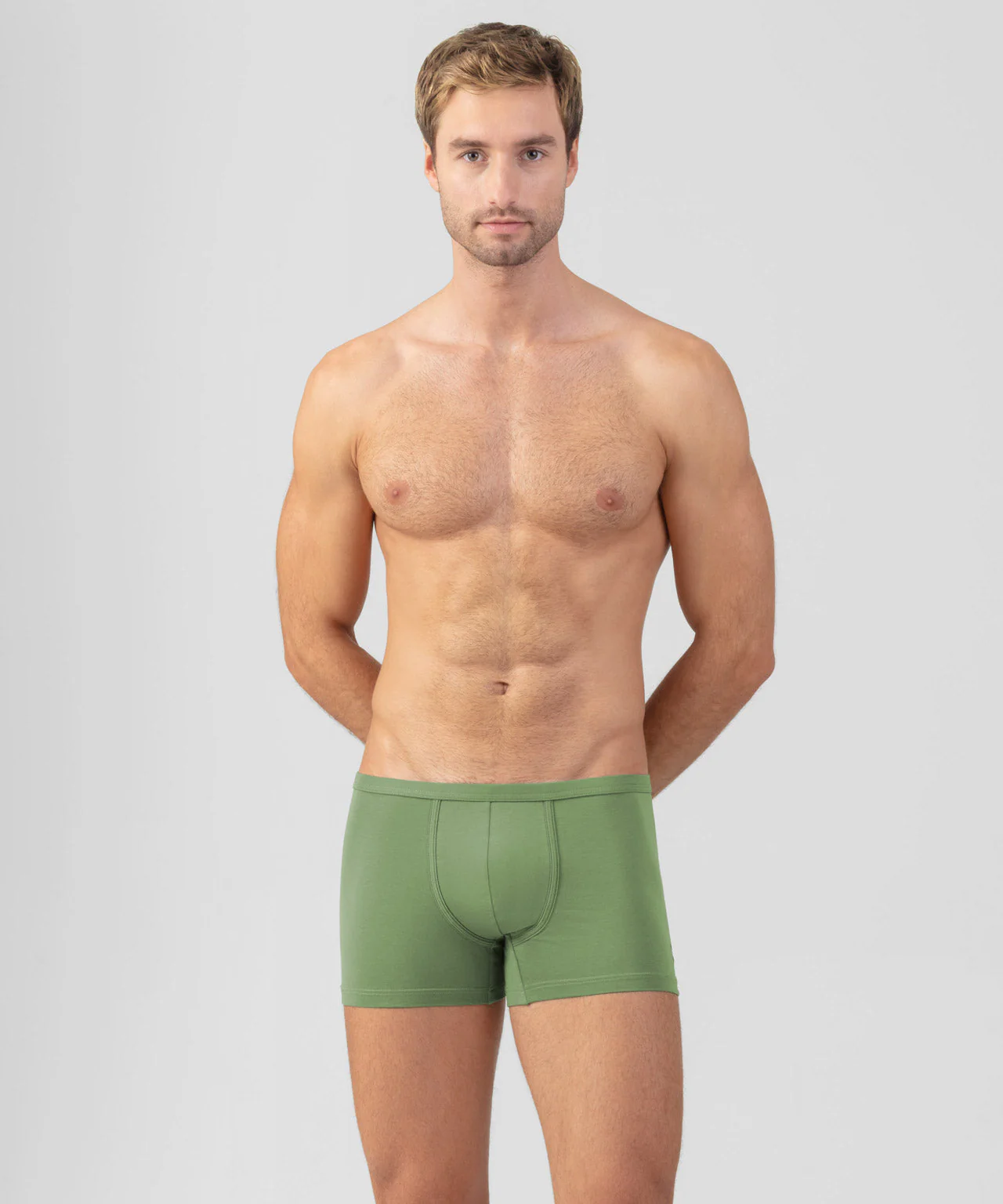 Boxer - Cactus