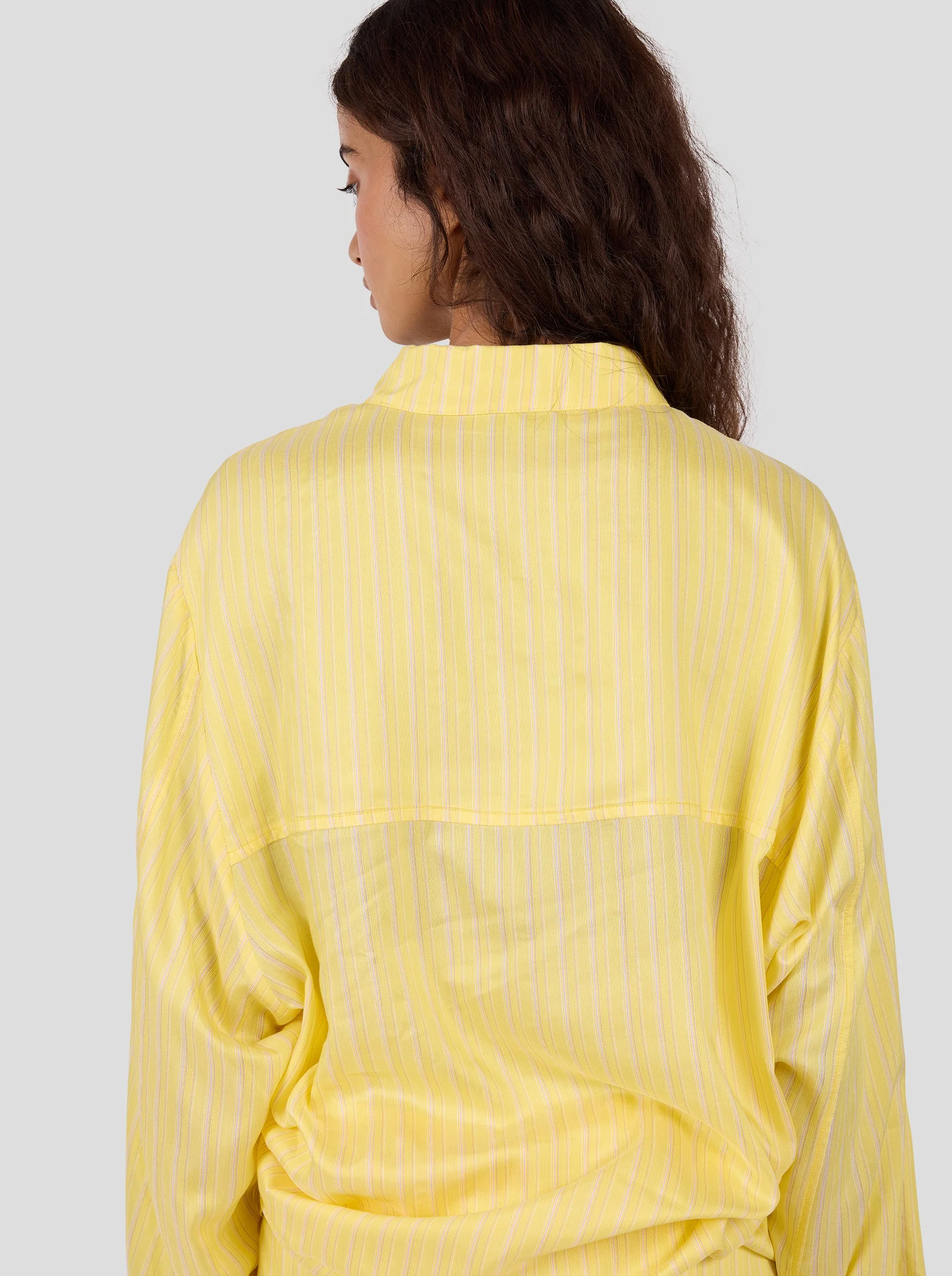Buffalo Shirt in Limoncello Stripes - Image 8