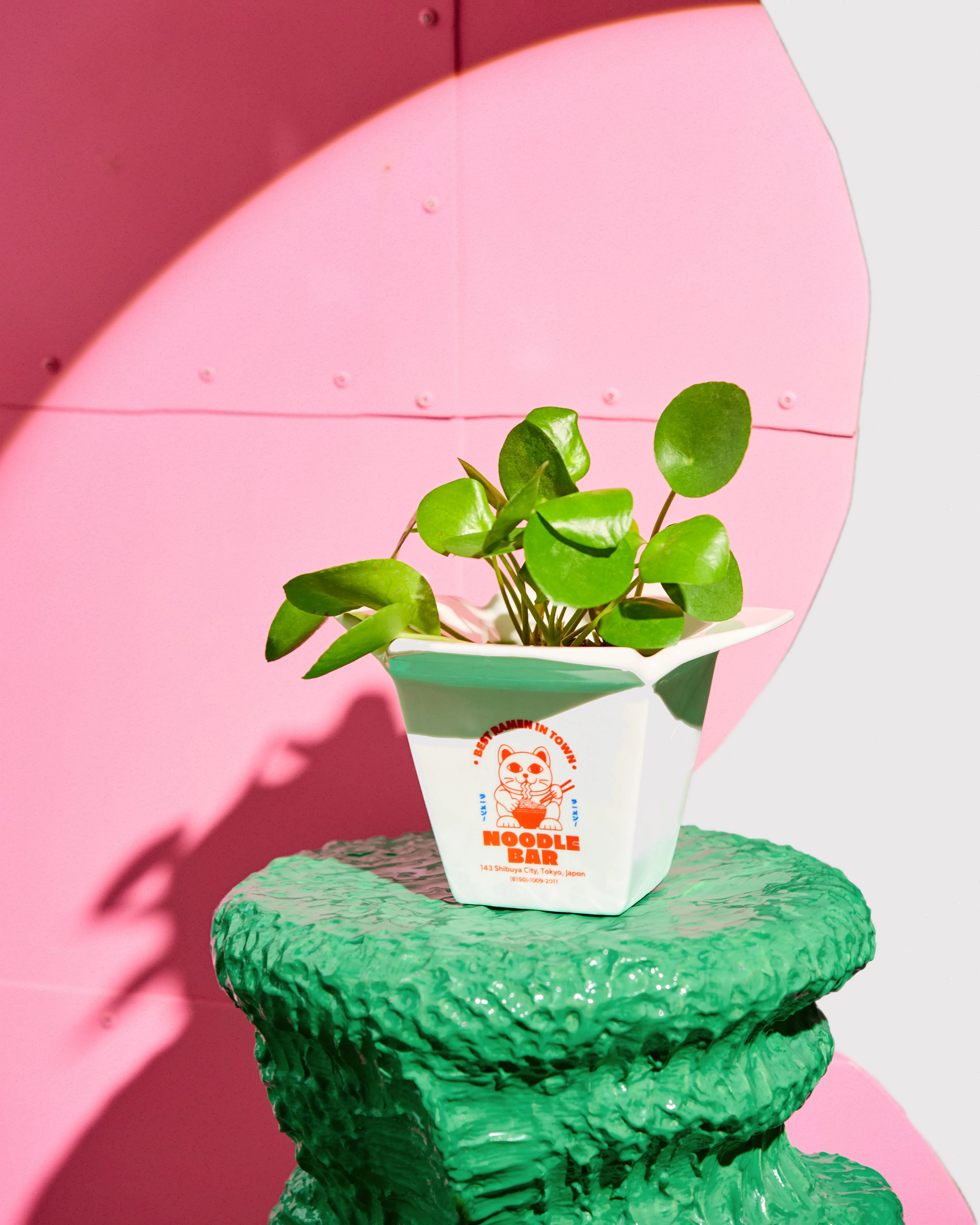 Cache Pot / Vase Ramen