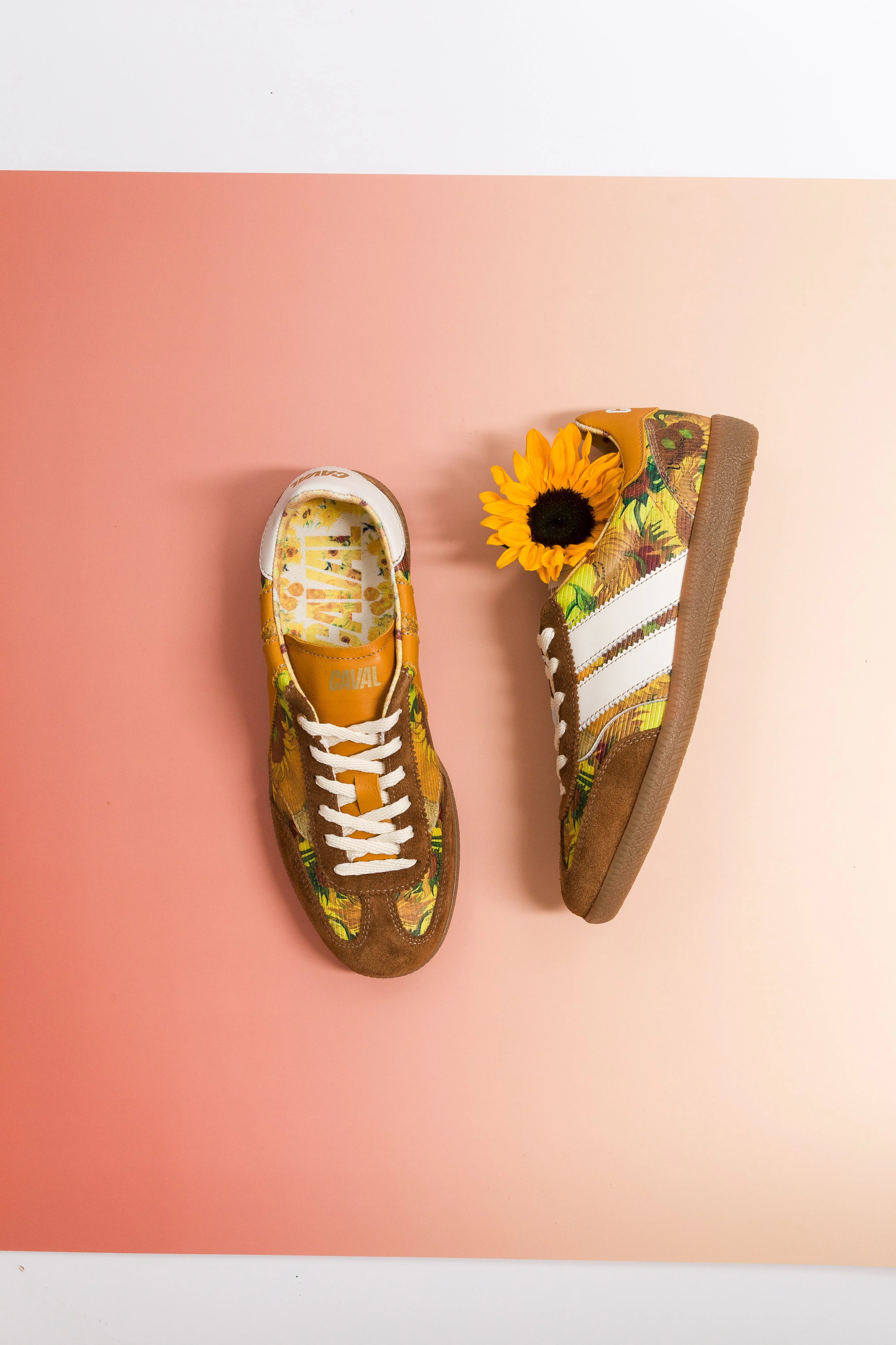 Caval X Les Tournesols - Image 6