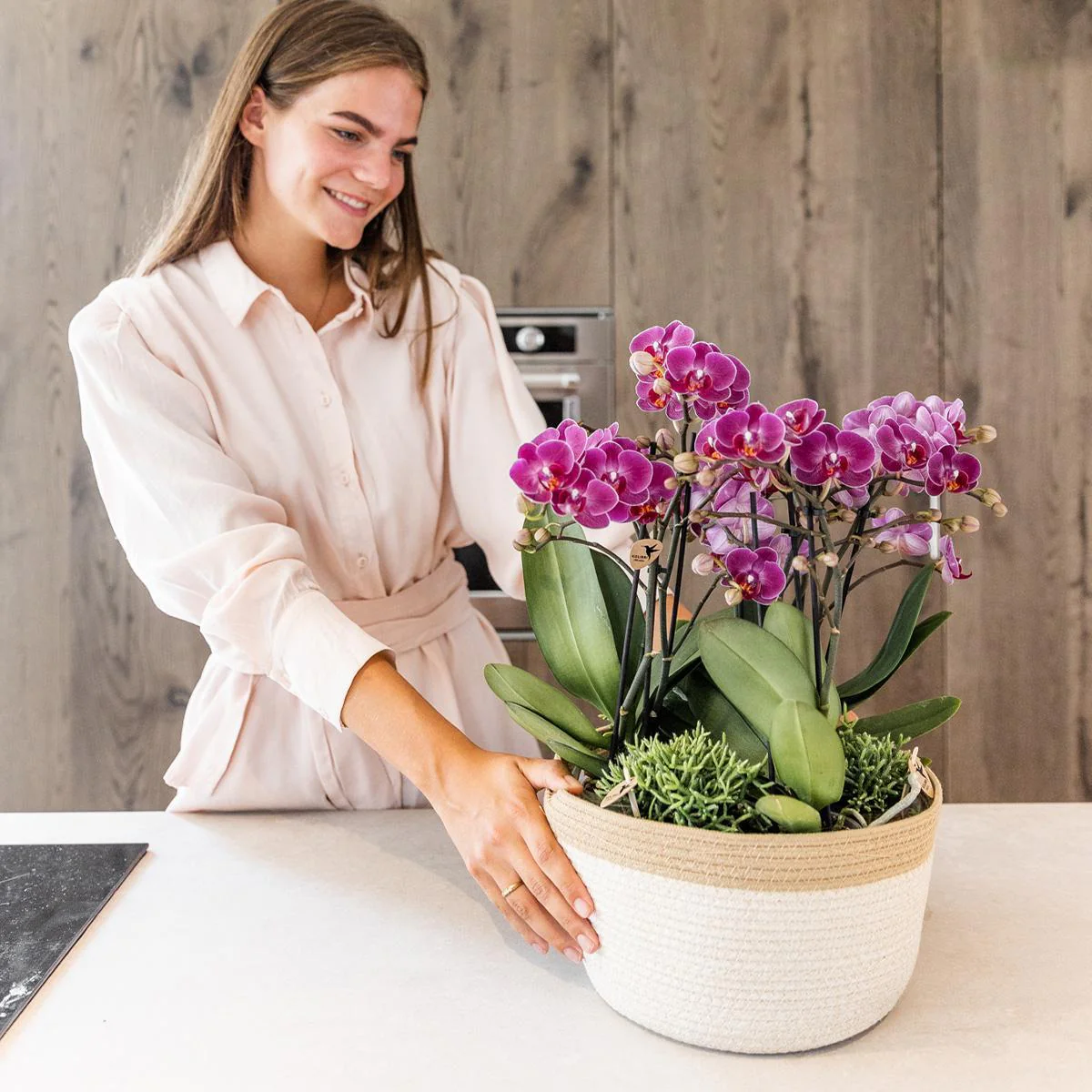 Plante D'Intérieur - Composition Dans Un Panier En Coton Avec Réservoir D'Eau De 3 Orchidées Violettes Et 3 Rhipsalis
