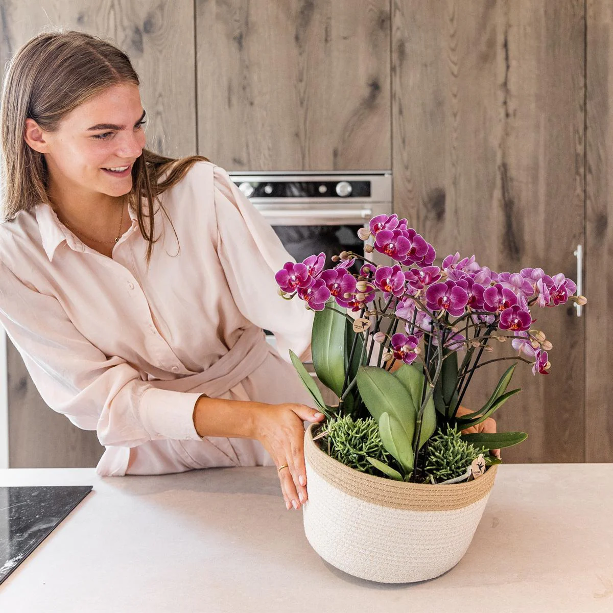 Plante D'Intérieur - Composition Dans Un Panier En Coton Avec Réservoir D'Eau De 3 Orchidées Violettes Et 3 Rhipsalis - Image 7
