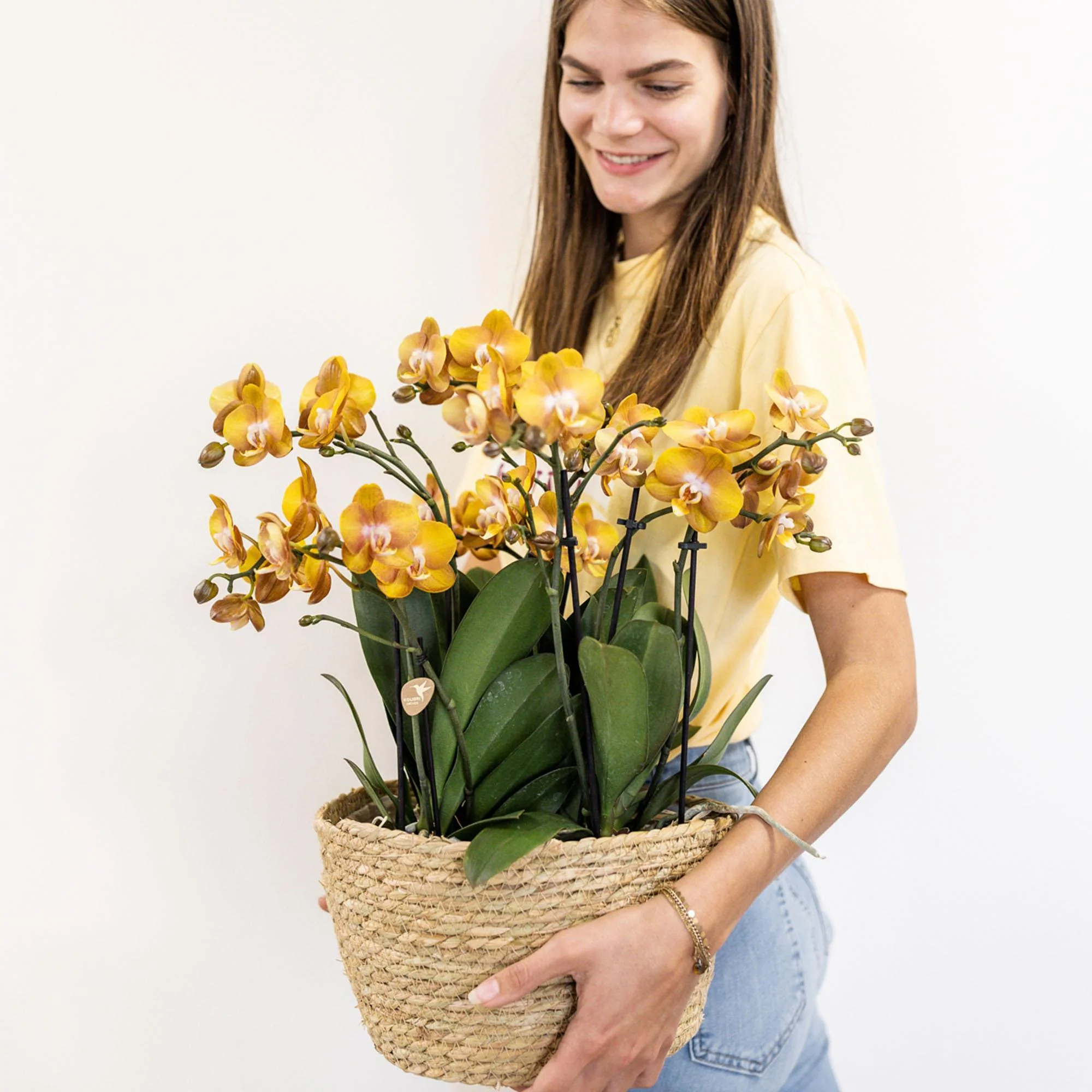 Plante D'Intérieur - Panier En Osier Avec 3 Orchidées Orange Et Réservoir D'Eau Intégré - Image 4