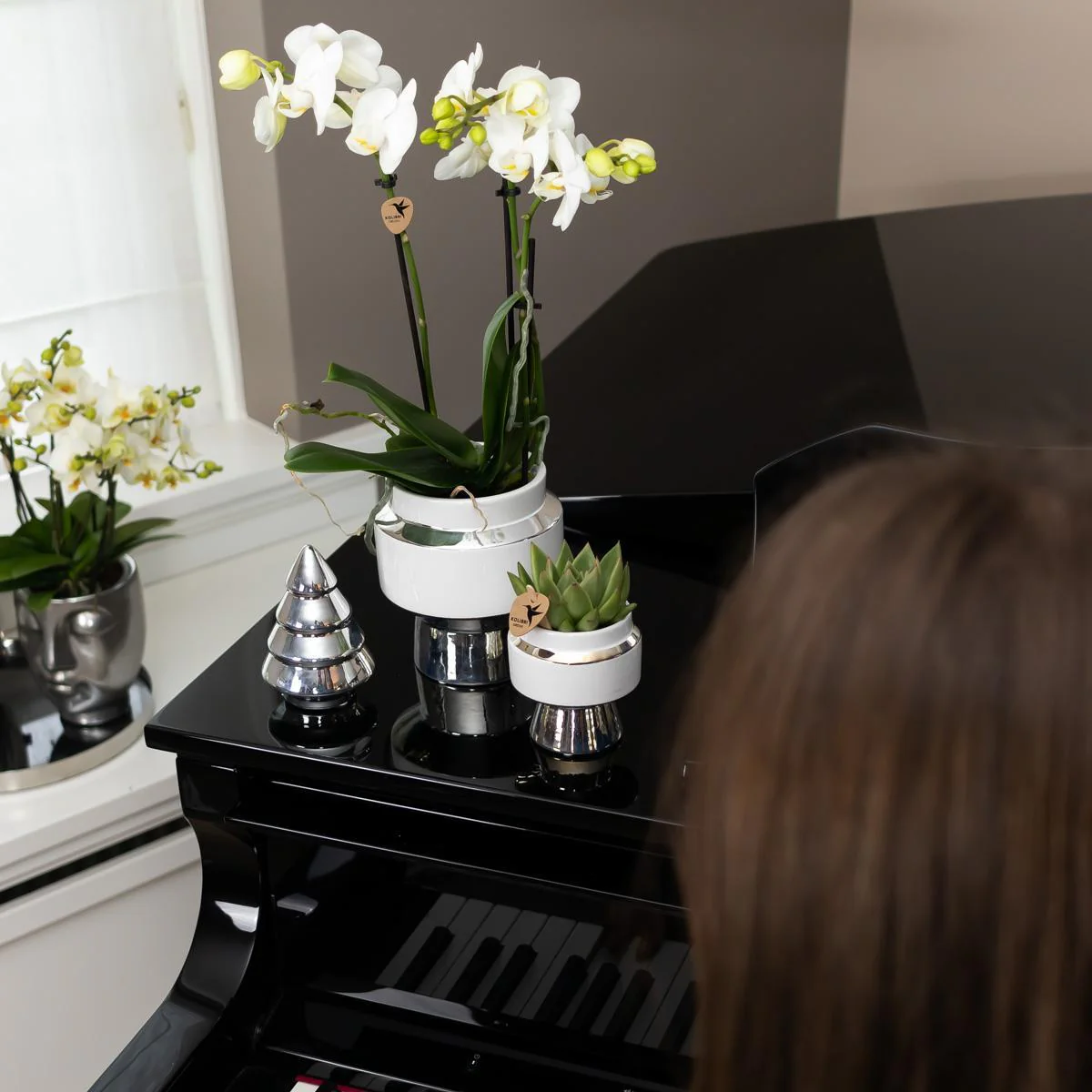 Plante D'Intérieur - Duo Orchidée Blanche Et Succulente Sur Plateau Argenté - Image 3