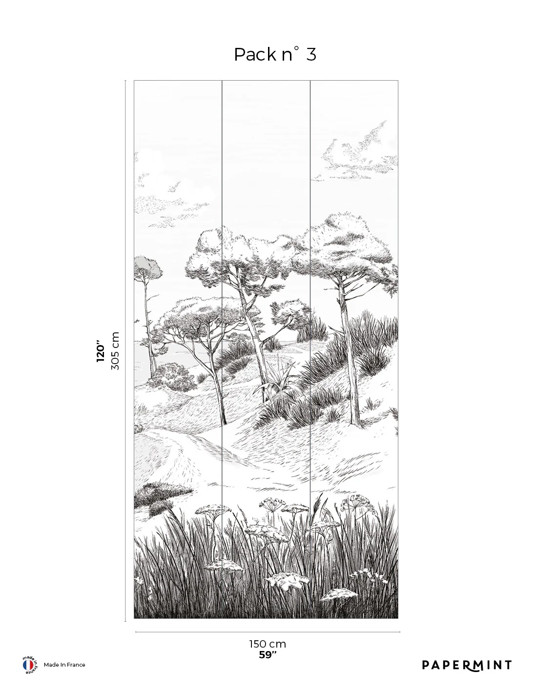 Fresque Côte Sauvage - Embruns - Image 8