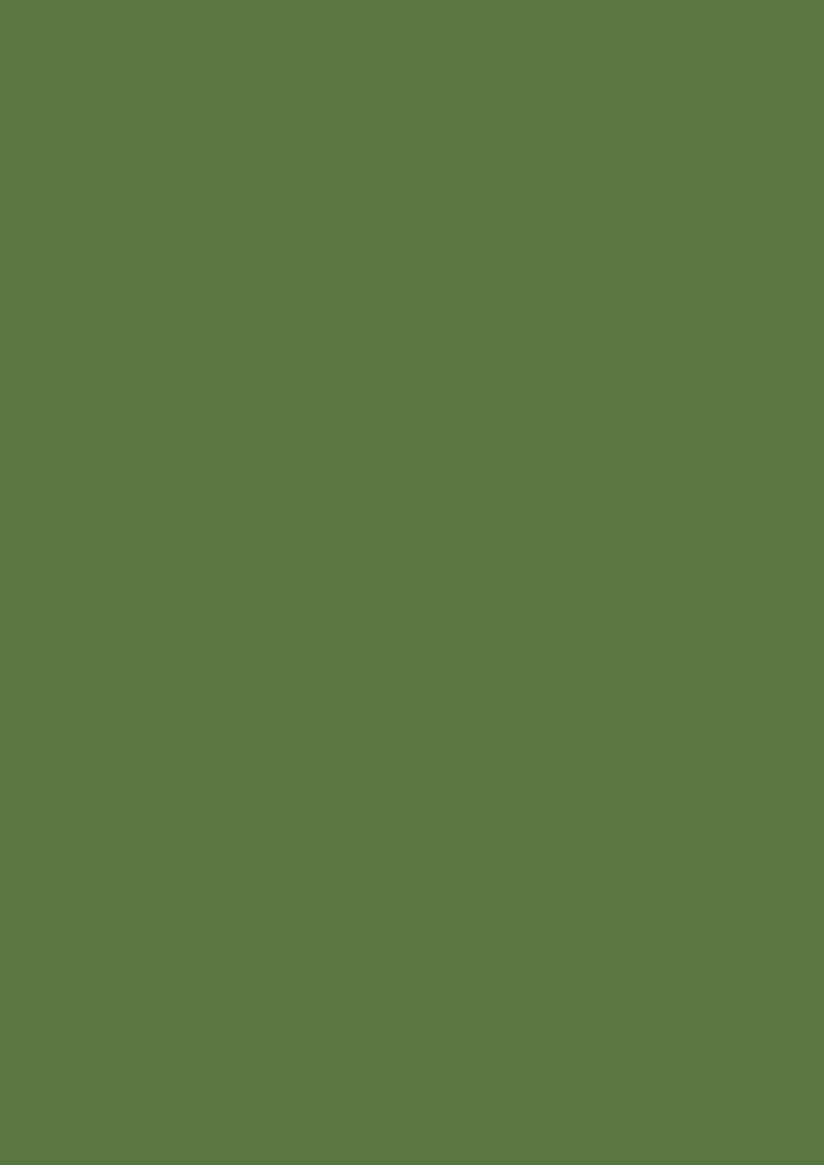 Pull Lenicole - Sanguine - Image 6