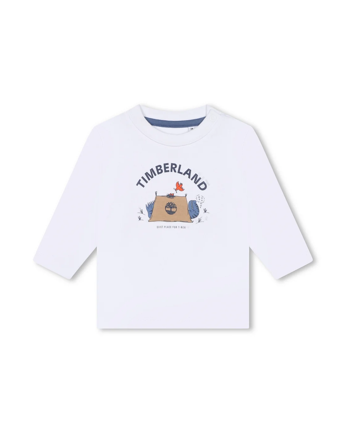 T-Shirt Manches Longues - Bebe Couche Garçon
