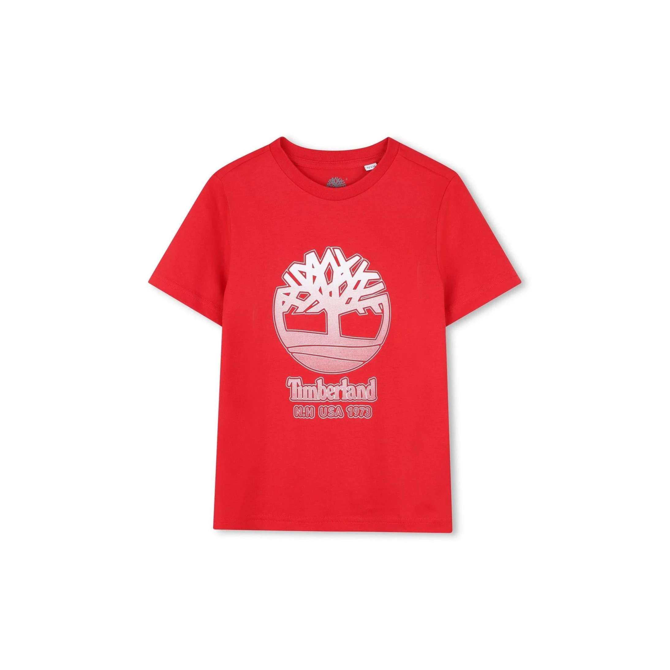 T-Shirt Manches Courtes - Enfant Garçon