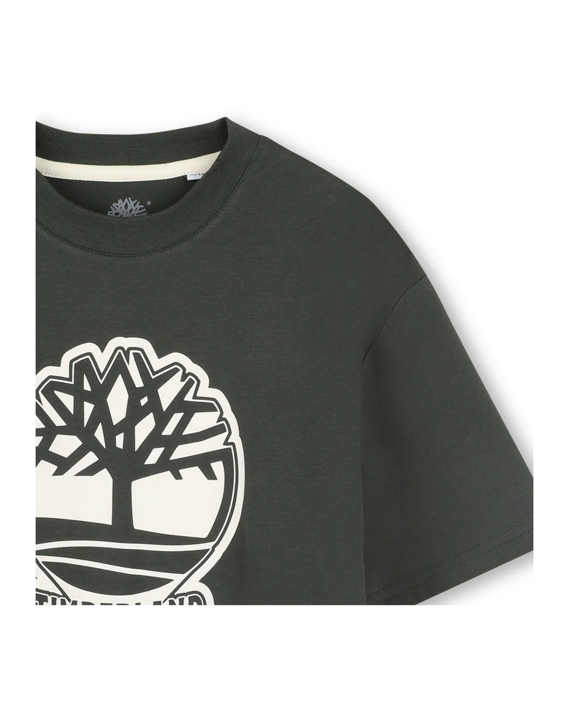 T-Shirt Manches Courtes - Enfant Garçon - Image 3