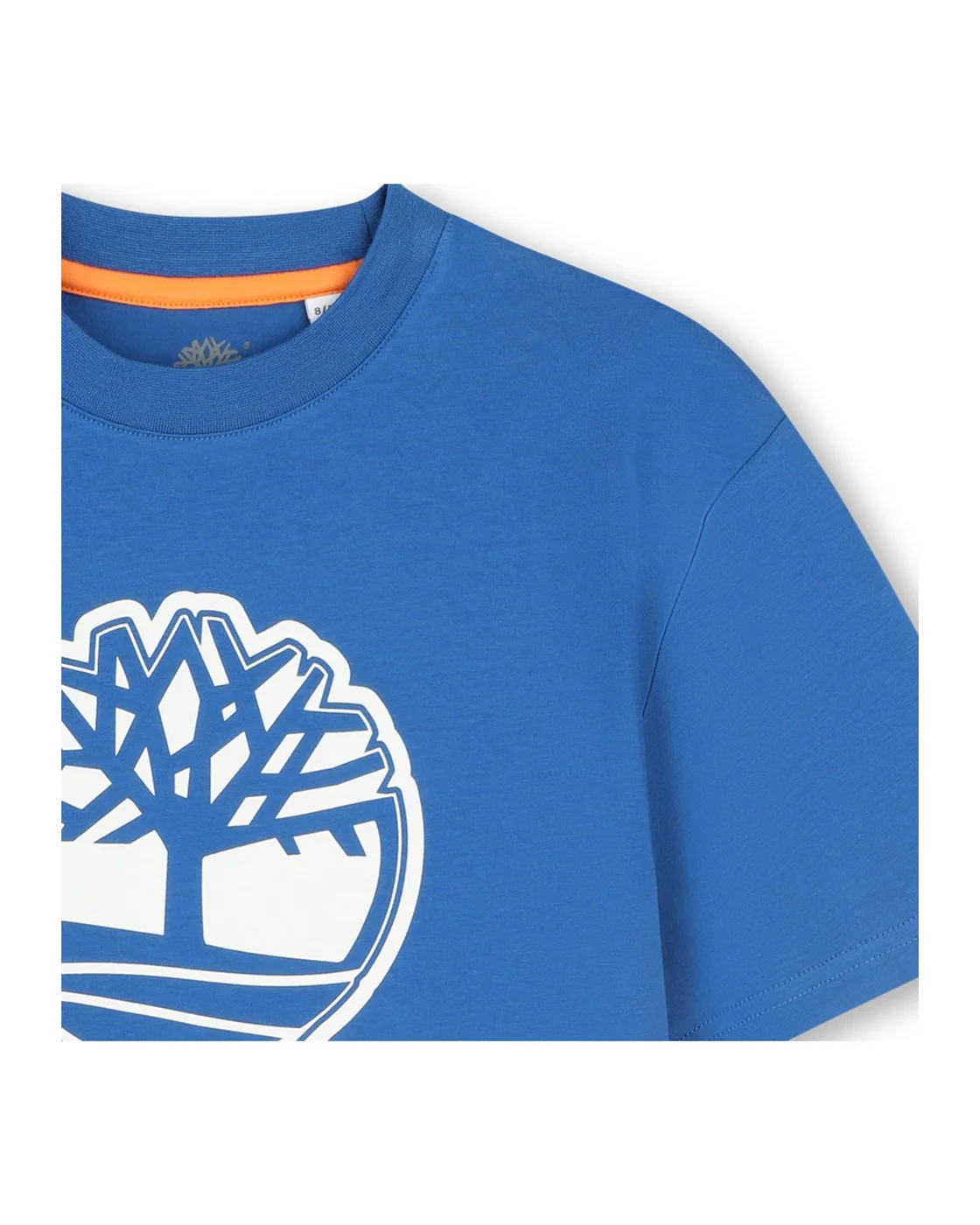 T-Shirt Manches Courtes - Enfant Garçon - Image 3