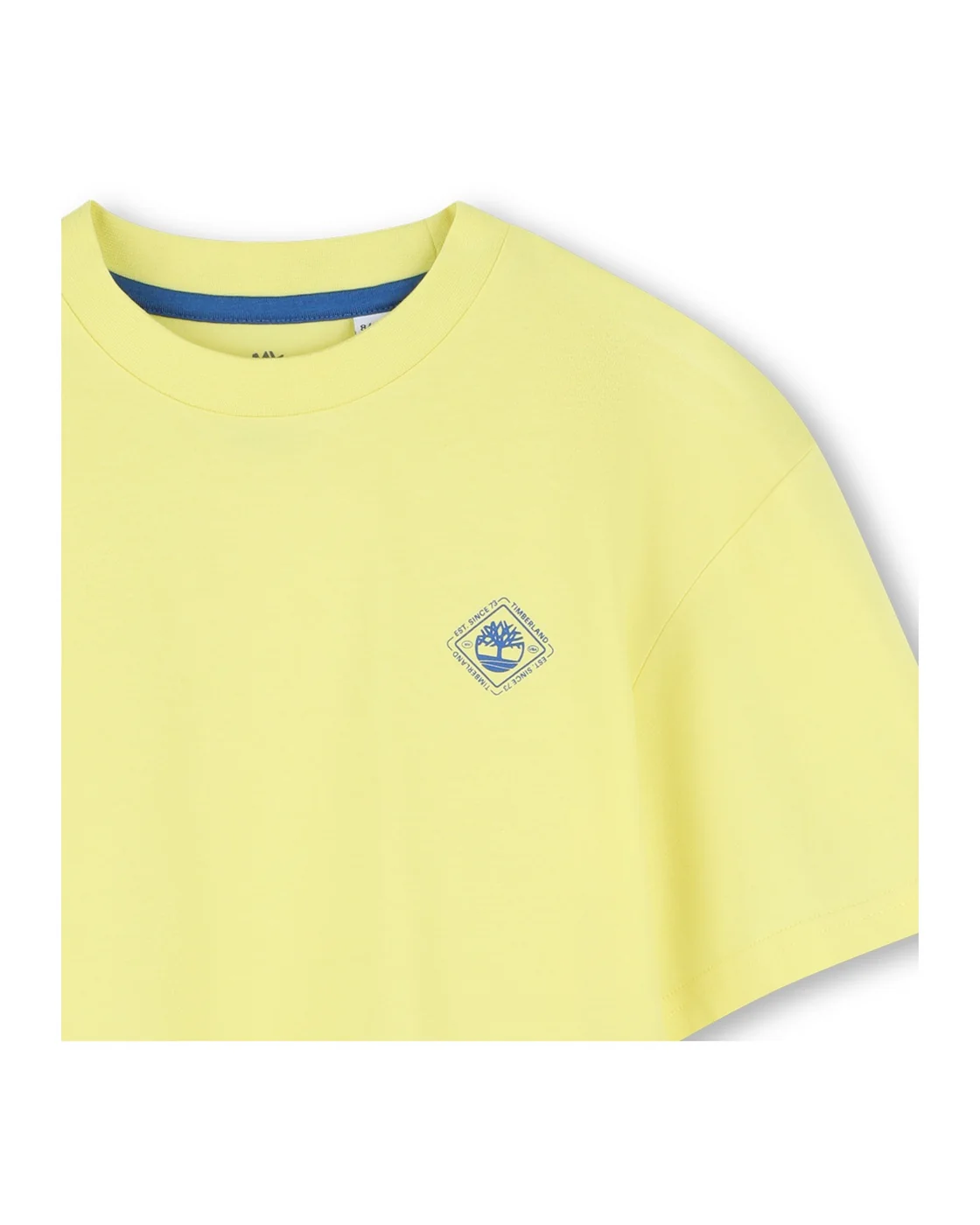 T-Shirt Manches Courtes - Enfant Garçon - Image 3