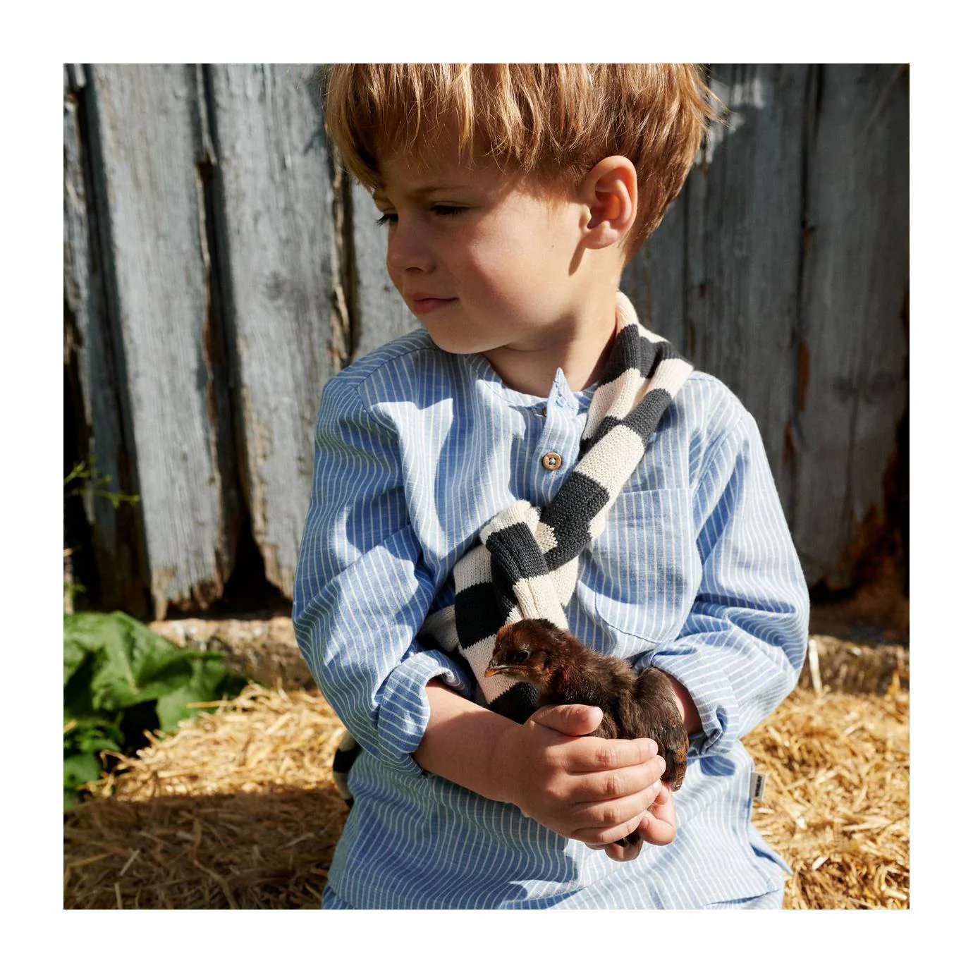 Chemise Bjørk - Blue Stripe - Garçon - Image 2