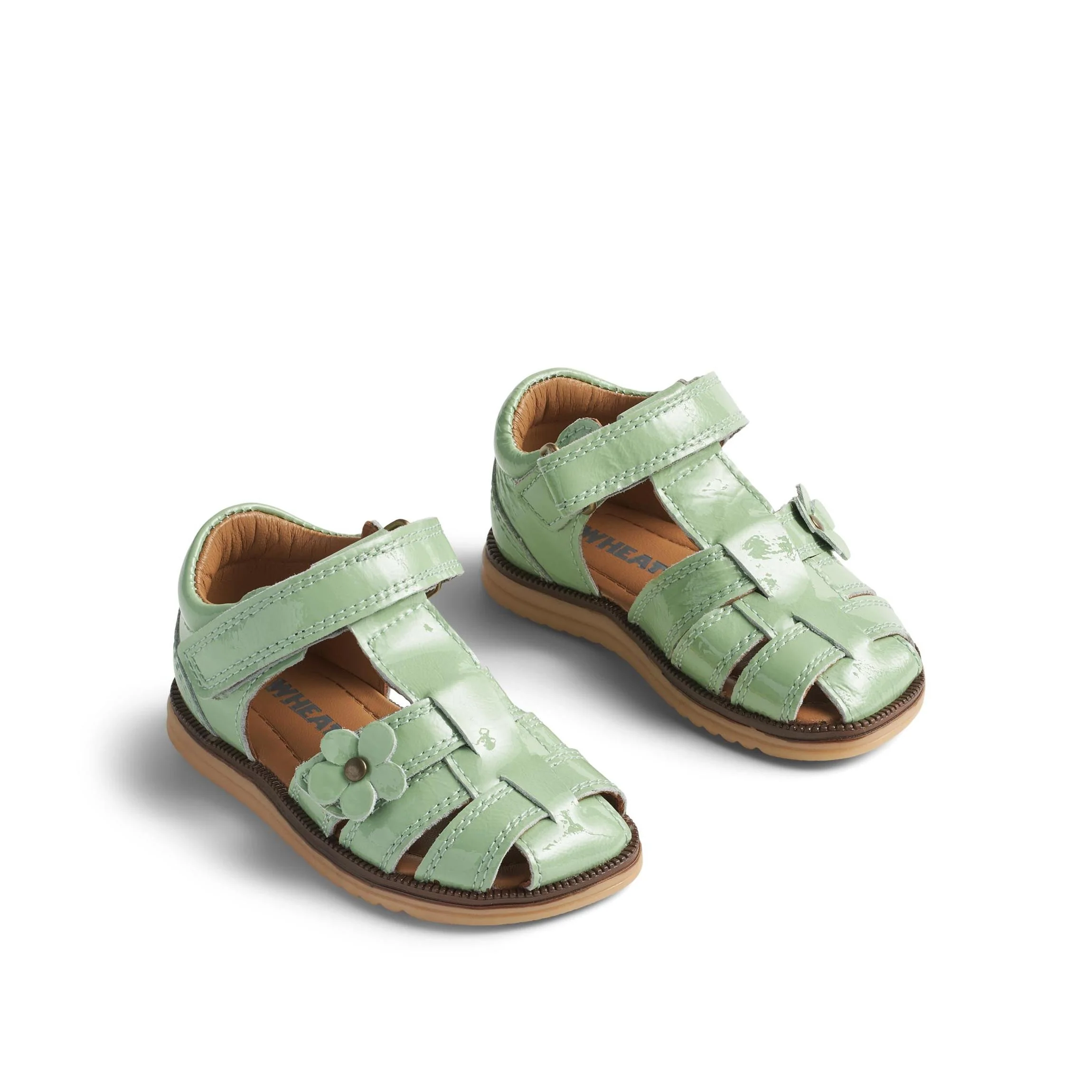 Fleur Céleste De Santal - Menthe - Mixte
